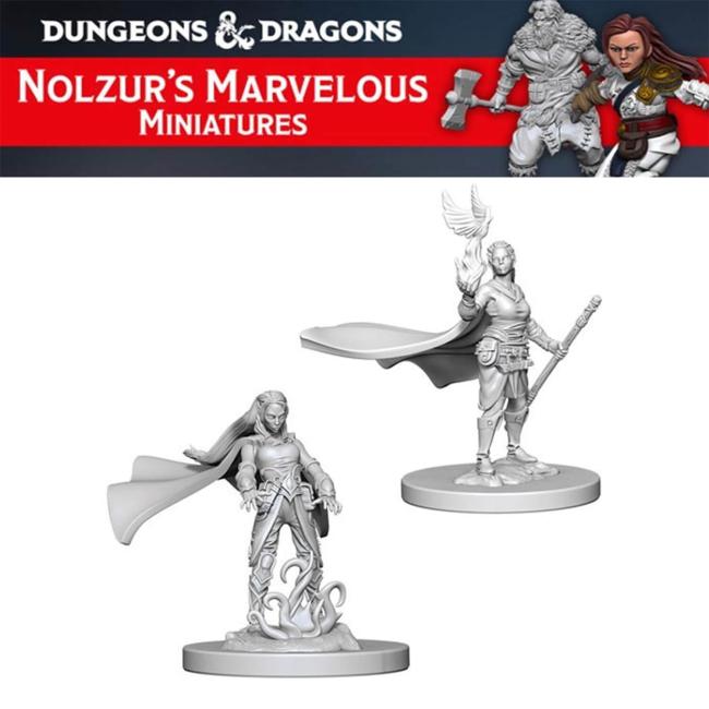 Female Elf Druid Nolzur's Marvelous Unpainted Minis