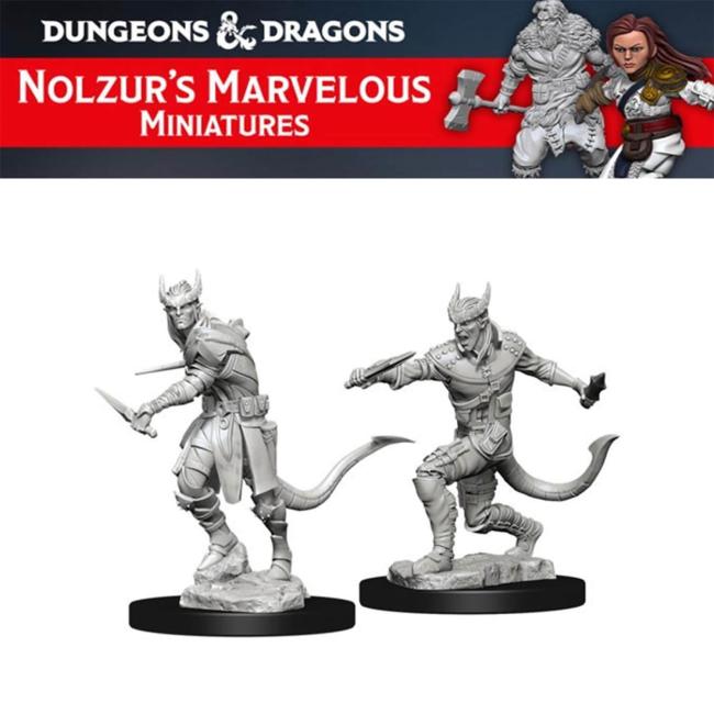 Male Tiefling Rogue Nolzur's Marvelous Unpainted Minis