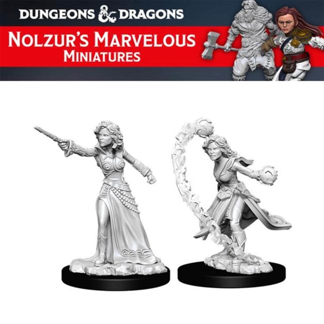 Female Human Wizard Nolzur's Marvelous Unpainted Minis